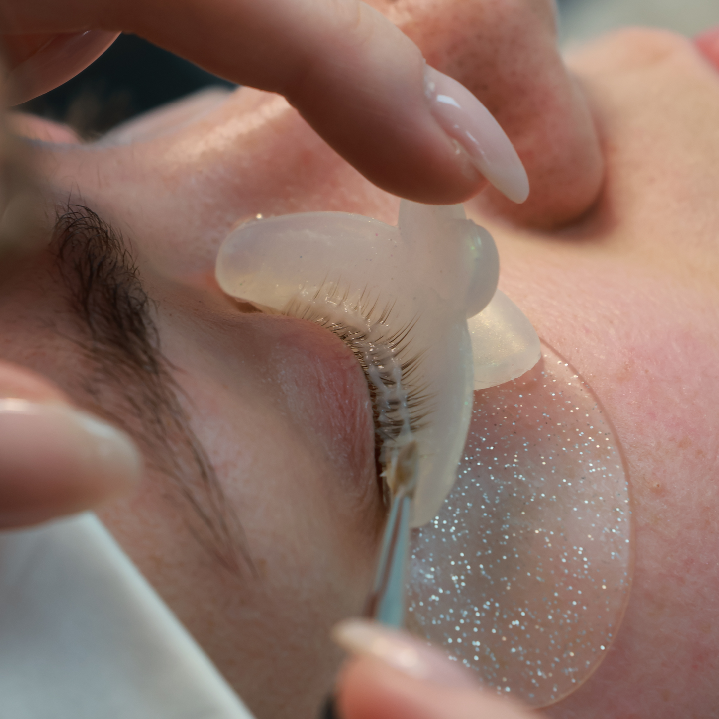 FORMATION REHAUSSEMENT DE CILS