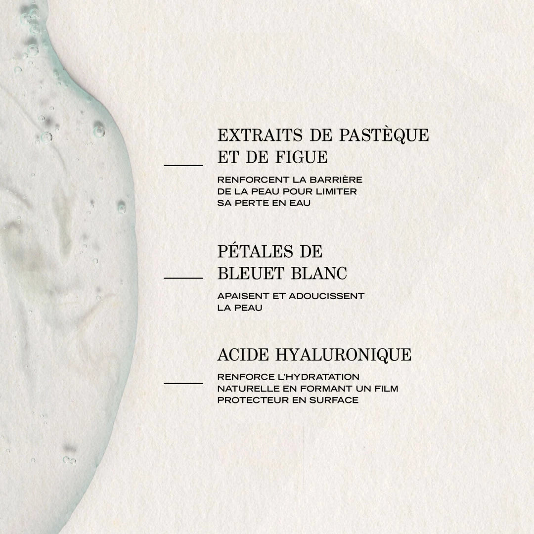 INFUSION HYDRATANTE REPULPANTE